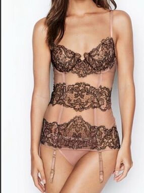 💖 **Victoria’s Secret Sheer Blush Bustier Set – Lace, Luxury & Allure** 💖 NWT